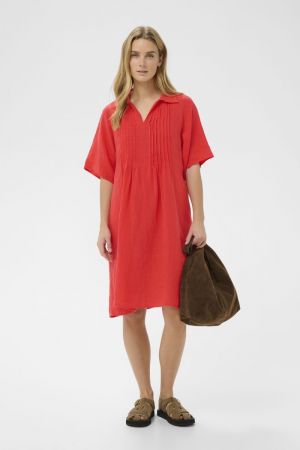  171664 Poppy Re