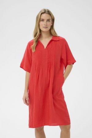  171664 Poppy Re